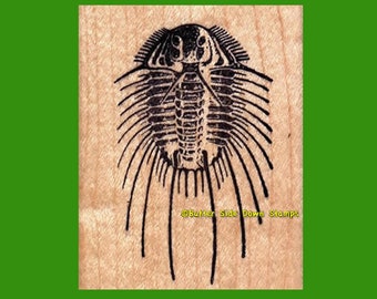 Acidaspis Fossil Trilobite Rubber Stamp
