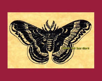 Promethea Moth Rubber Stamp