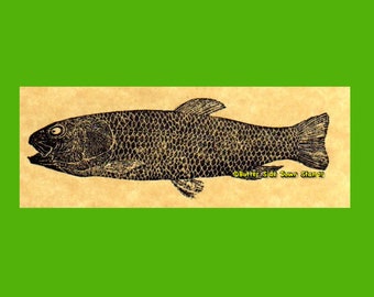 ビッグ！100%天然ディプロミスタス魚化石（両面にマトリックス付き