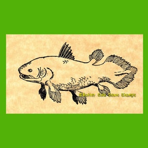 Coelacanth Fish Living Fossil Rubber Stamp