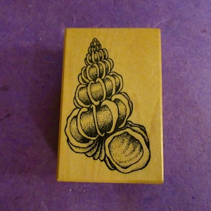 May include: A wooden stamp with a black and white illustration of a seashell. The seashell is detailed with a textured pattern.