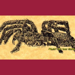 Tarantula Spider Rubber Stamp image 1