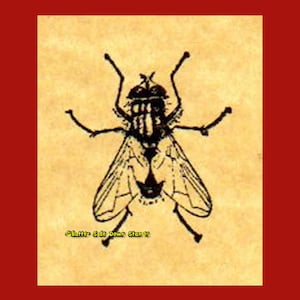 House Fly Rubber Stamp