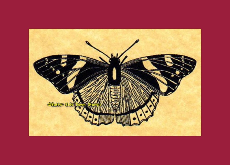 Red Admiral Butterfly Rubber Stamp image 1