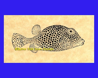 Spotted Trunkfish Caribbean Reef Rubber Stamp