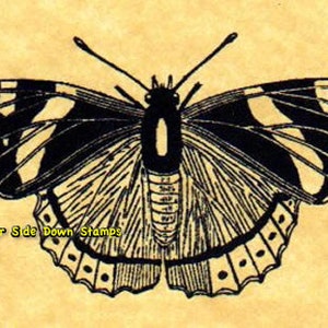 Red Admiral Butterfly Rubber Stamp image 2