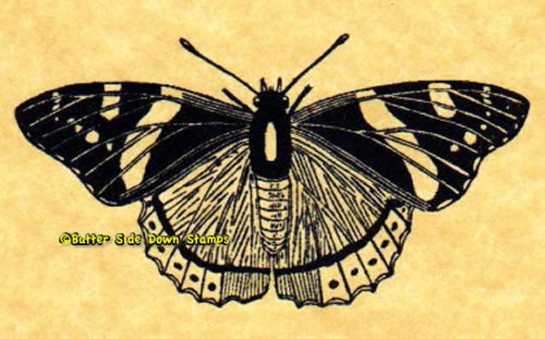 Red Admiral Butterfly Rubber Stamp image 2