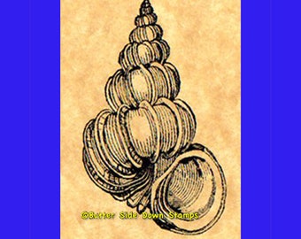 Wentletrap Shell Rubber Stamp Seashell