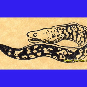 斑点のあるウツボのサンゴ礁の魚のゴム印