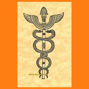 Caduceu Cobra Cajado Carimbo de Borracha Símbolo Médico