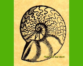 Large Ammonite Rubber Stamp