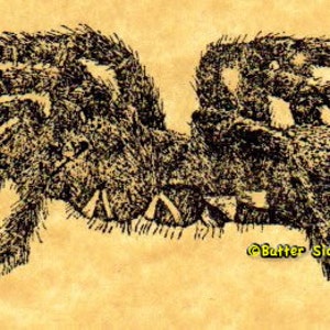 Tarantula Spider Rubber Stamp image 2