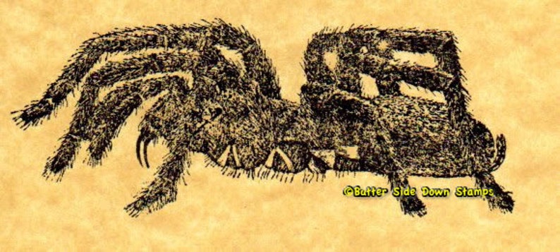 Tarantula Spider Rubber Stamp image 2