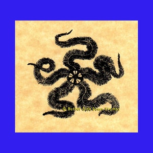 Brittle Star Starfish Rubber Stamp