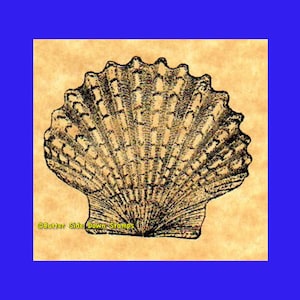 May include: A black and white illustration of a seashell on a beige background. The text "Butter Side Down Stamps" is at the bottom of the image.