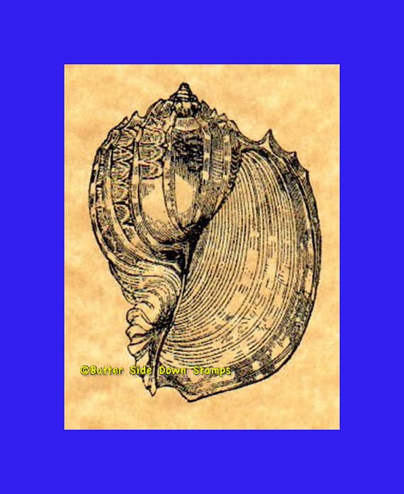 Harp Shell Rubber Stamp