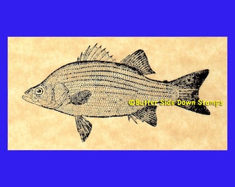 White Bass Game Fish Rubber Stamp