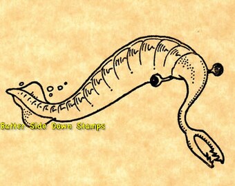 Tully Monster Fossil Rubber Stamp Illinois State Fossil - Etsy Singapore