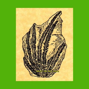 Rubberstempel fossiele varen