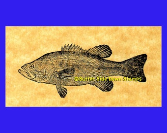 Largemouth Bass Gamefish Rubber Stamp