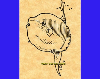 Sello de goma de pez luna del océano