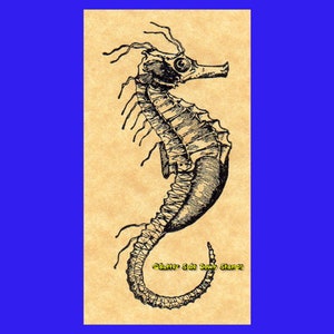 Seahorse Rubber Stamp Hippocampus Fish Stamp