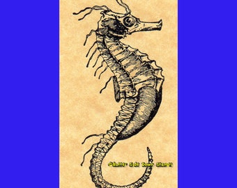 Seahorse Rubber Stamp Hippocampus Fish Stamp