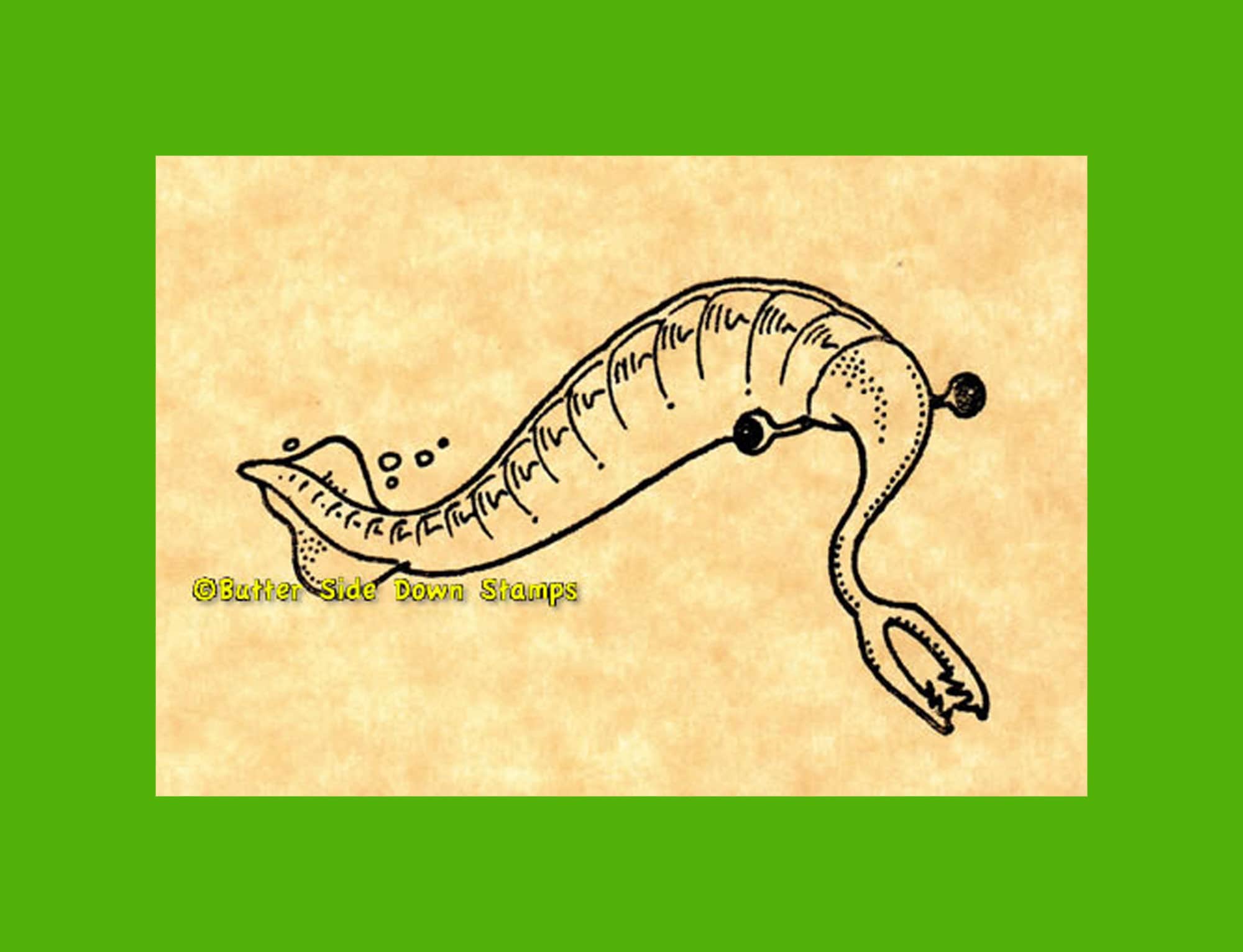 Tully Monster Fossil Rubber Stamp Illinois State Fossil - Etsy