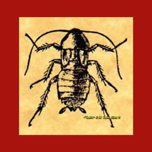 Puede incluir: Una ilustración en blanco y negro de una cucaracha sobre un fondo beige. La imagen es de un sello "Better Side Down Stamps".