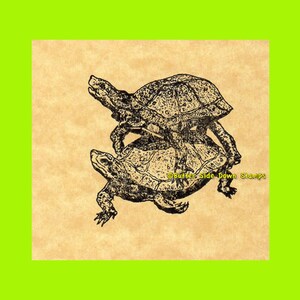Sello de goma "Las tortugas también lo hacen"