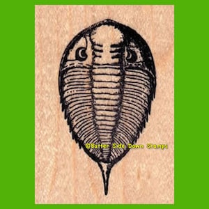 Dalmantes Trilobite Rubber Stamp