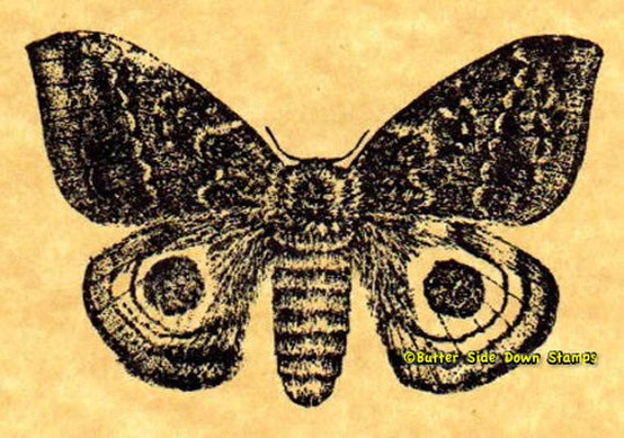 Large Cecropia Moth Rubber Stamp