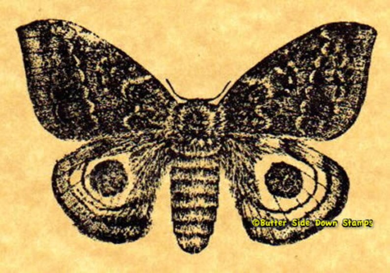 Io Moth Rubber Stamp image 2