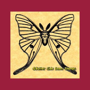 Saturnid Luna Moth Rubber Stamp
