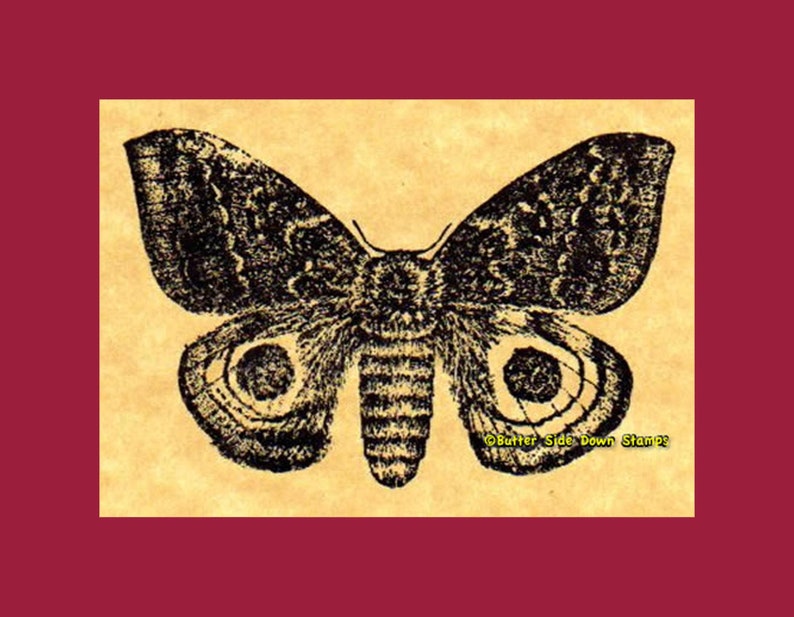 Io Moth Rubber Stamp image 1