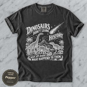 May include: A charcoal gray short-sleeve t-shirt featuring a white graphic of dinosaurs, a volcano, and a meteor. The text reads: DINOSAURS DIDN'T LEARN HISTORY and we know WHAT HAPPENED TO THEM. The shirt has a crew neck and a Comfort Colors label.