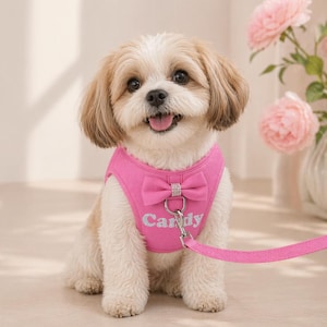 Pode incluir: Um cão pequeno e fofo com pelo castanho e branco, usando uma coleira rosa com um laço e o nome "Candy". O cão está com uma trela rosa e está sentado em frente a um vaso de flores cor-de-rosa.