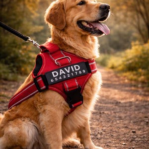 Arnés para perros personalizado Arnés reflectante antitirones personalizado con nombre / Chaleco acolchado de malla transpirable para perros pequeños, medianos y grandes