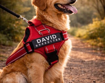 Arnés para perros personalizado Arnés reflectante antitirones personalizado con nombre / Chaleco acolchado de malla transpirable para perros pequeños, medianos y grandes