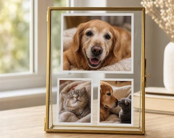 Custom Pet Memorial Glass Frame, Personalized 3 Photo Dog or Cat Remembrance Gift, Rainbow Bridge Pet Loss Keepsake