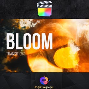 May include: Image with the word "BLOOM" in large white letters, with "TRANSITIONS" below. A colorful film clapperboard icon is at the top. The background is a blurred, warm-toned image with a person's silhouette.