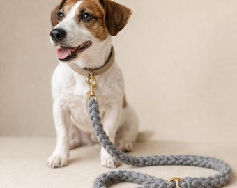 Beginner Crochet Dog Leash Pattern – Quick DIY, Sizes S-L (PDF Download)