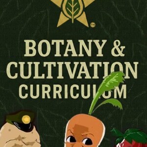 Könnte beinhalten: Illustration für einen Botanik- und Anbaulehrplan. Das Bild zeigt ein Sternlogo mit einem Blatt und den Text "BOTANY & CULTIVATION CURRICULUM". Cartoon-Charaktere einer Kartoffel, einer Karotte und einer Erdbeere befinden sich unten.
