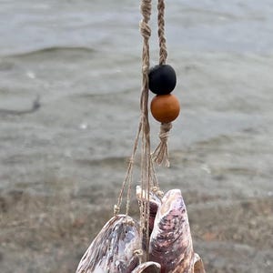 May include: A hanging seashell mobile with a natural, coastal aesthetic. The mobile features a cluster of various seashells suspended from twine, accented by wooden beads in brown and black. The background shows a beach and ocean.