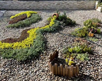 DIY Drought Tolerant Garden Kit | Succulent Landscape Package | Low Maintenance Front Yard Xeriscape Design