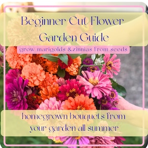 May include: A vibrant bouquet of cut flowers, featuring marigolds and zinnias in shades of pink, orange, and red. The image includes text that reads "Beginner Cut Flower Garden Guide" and "grow marigolds & zinnias from seeds" and "homegrown bouquets from your garden all summer."