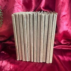 May include: A collection of twelve identical books with plain, light beige covers arranged vertically in a row. The books are positioned side-by-side, showing their narrow spines and rectangular edges, creating a uniform and structured appearance.