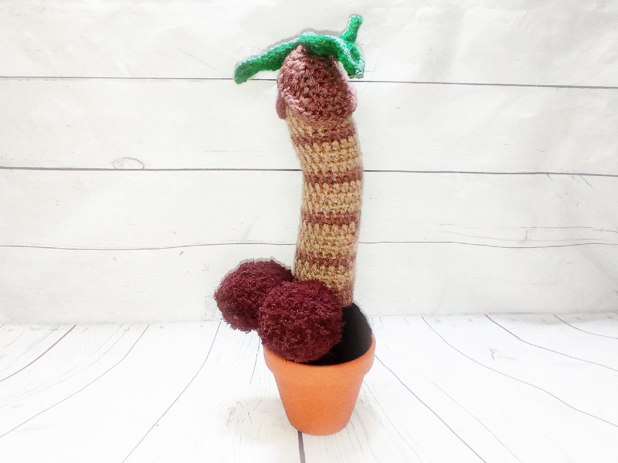 Palm tree penis