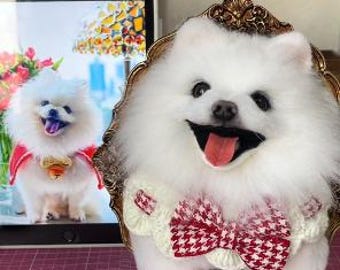 Custom Needle Felted Pet Portrait (Framed)