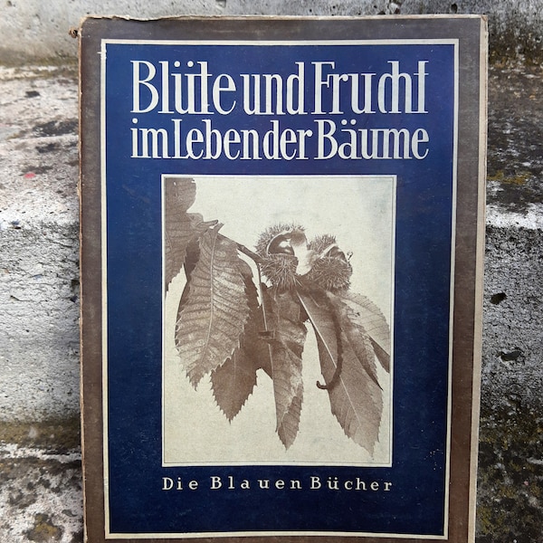 Blute und Frucht- Vintage German Book/1931